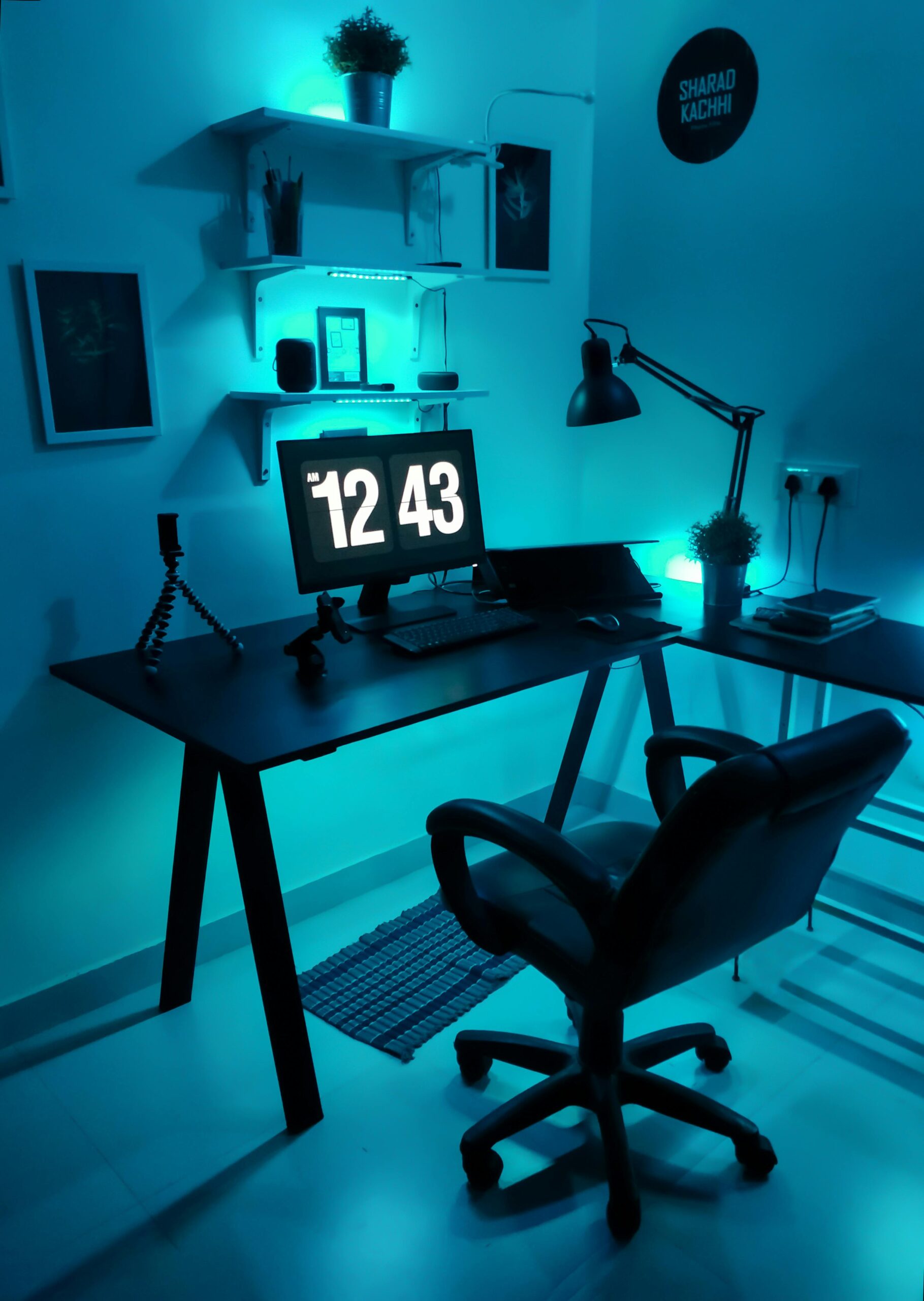 DIY Study Space Lighting: Complete Budget Setup Guide (2024)